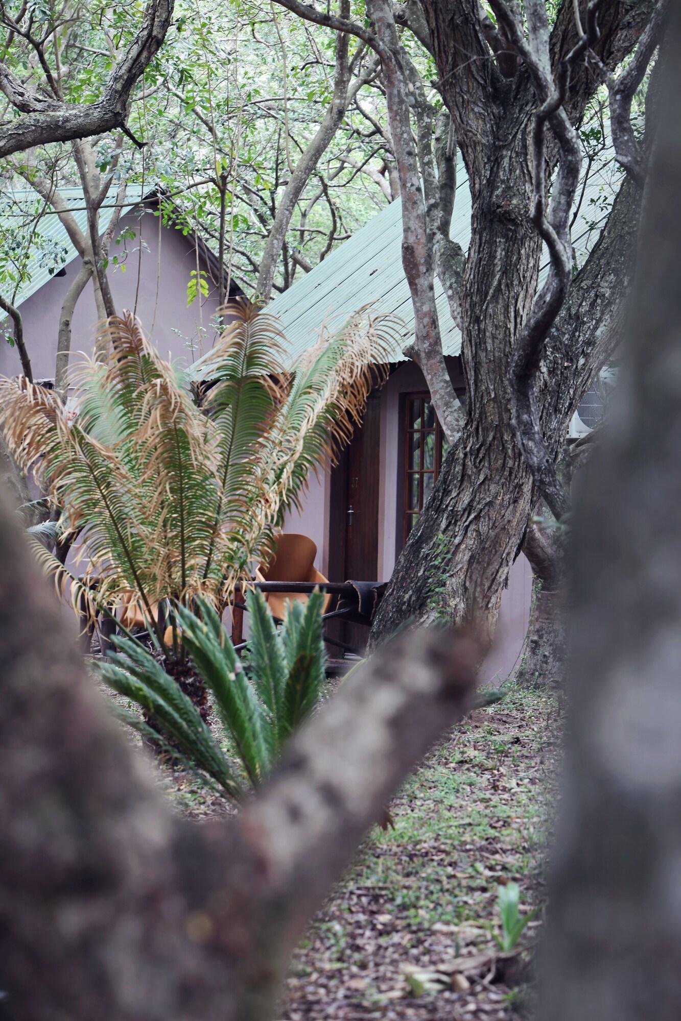 Emdoneni Lodge Хлухлуве Экстерьер фото